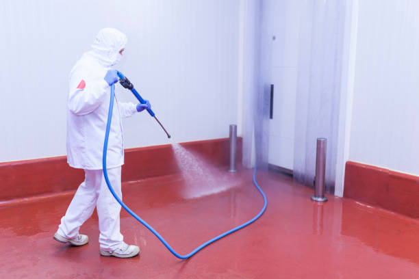 Best Solar Panel Cleaning  in Emerald Lake Hills, CA
